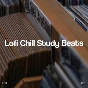 !!!" Lofi Chill Study Beats "!!!