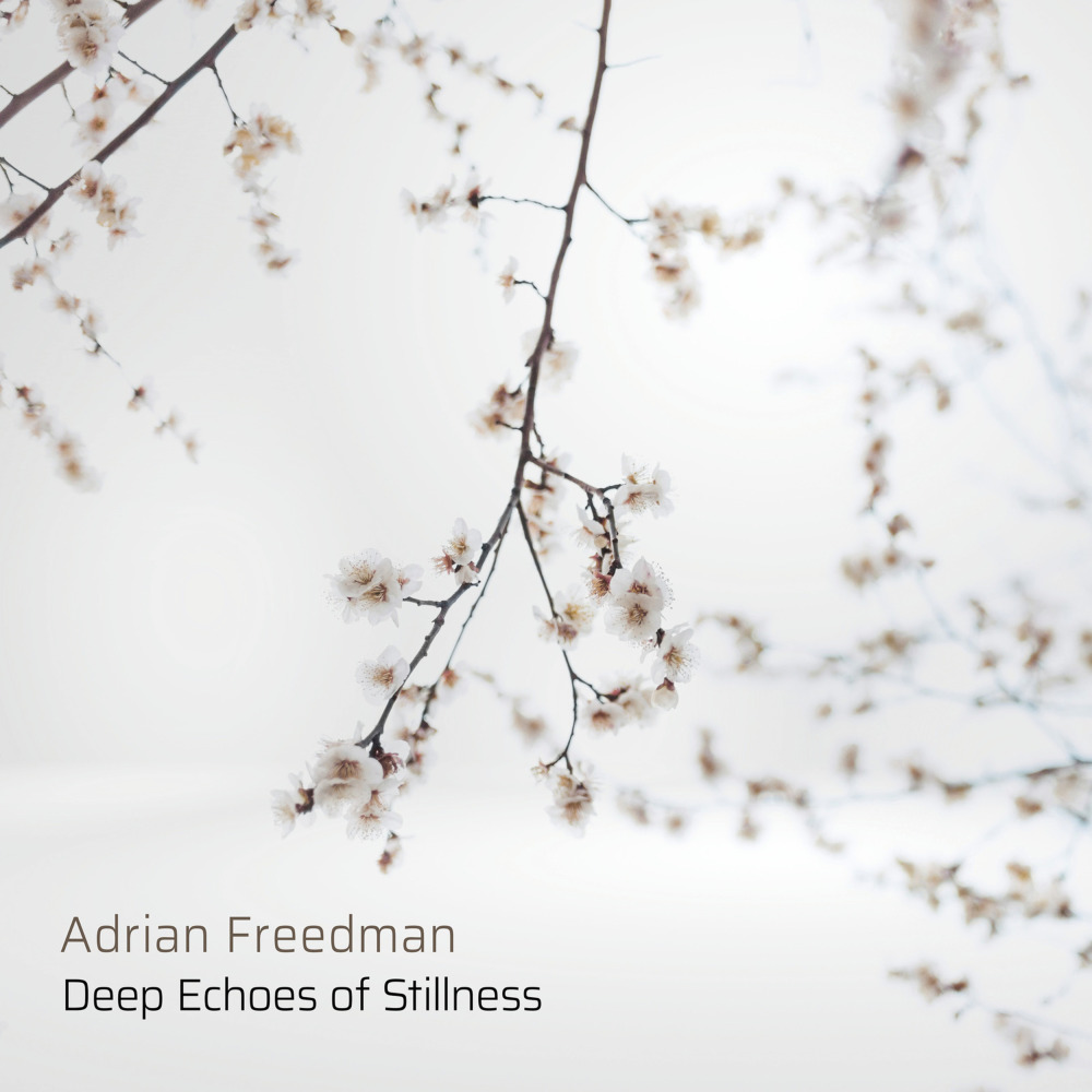 Deep Echoes of Stillness