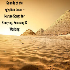 Natural Sounds Selections的专辑Sounds of the Egyptian Desert- Nature Songs for Studying, Focusing & Working