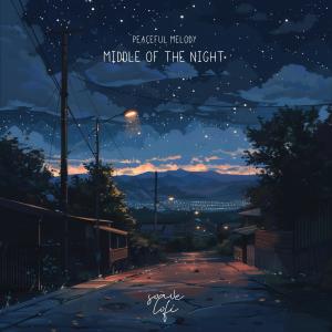 Peaceful Melody的專輯MIDDLE OF THE NIGHT