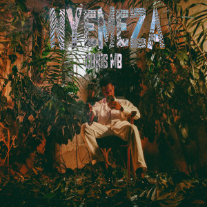 Listen to Nyemeza song with lyrics from Chris Mb