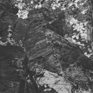 Dengarkan Fallow lagu dari Evitceles dengan lirik