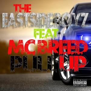 Dengarkan Pull Up (Explicit) lagu dari The EastSide Boyz dengan lirik