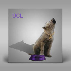 Listen to UCL (Explicit) song with lyrics from P