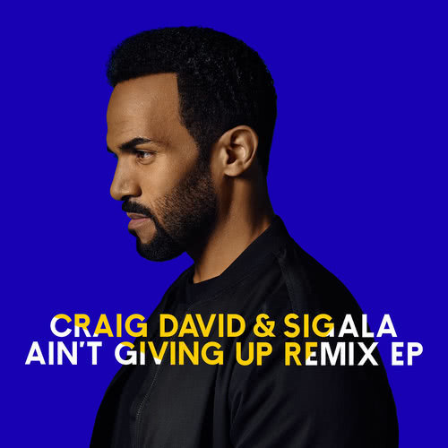 Ain't Giving Up (WiDE AWAKE Remix)