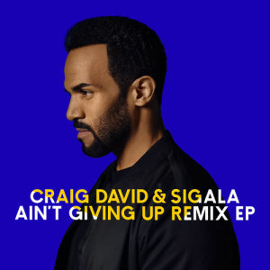 收聽Craig David的Ain't Giving Up (WiDE AWAKE Remix)歌詞歌曲
