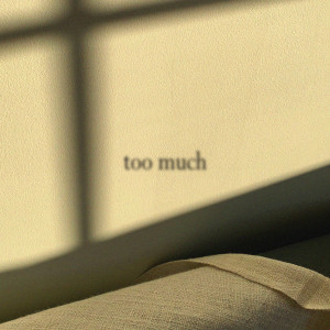 Album TOO MUCH from SWRY (수리)
