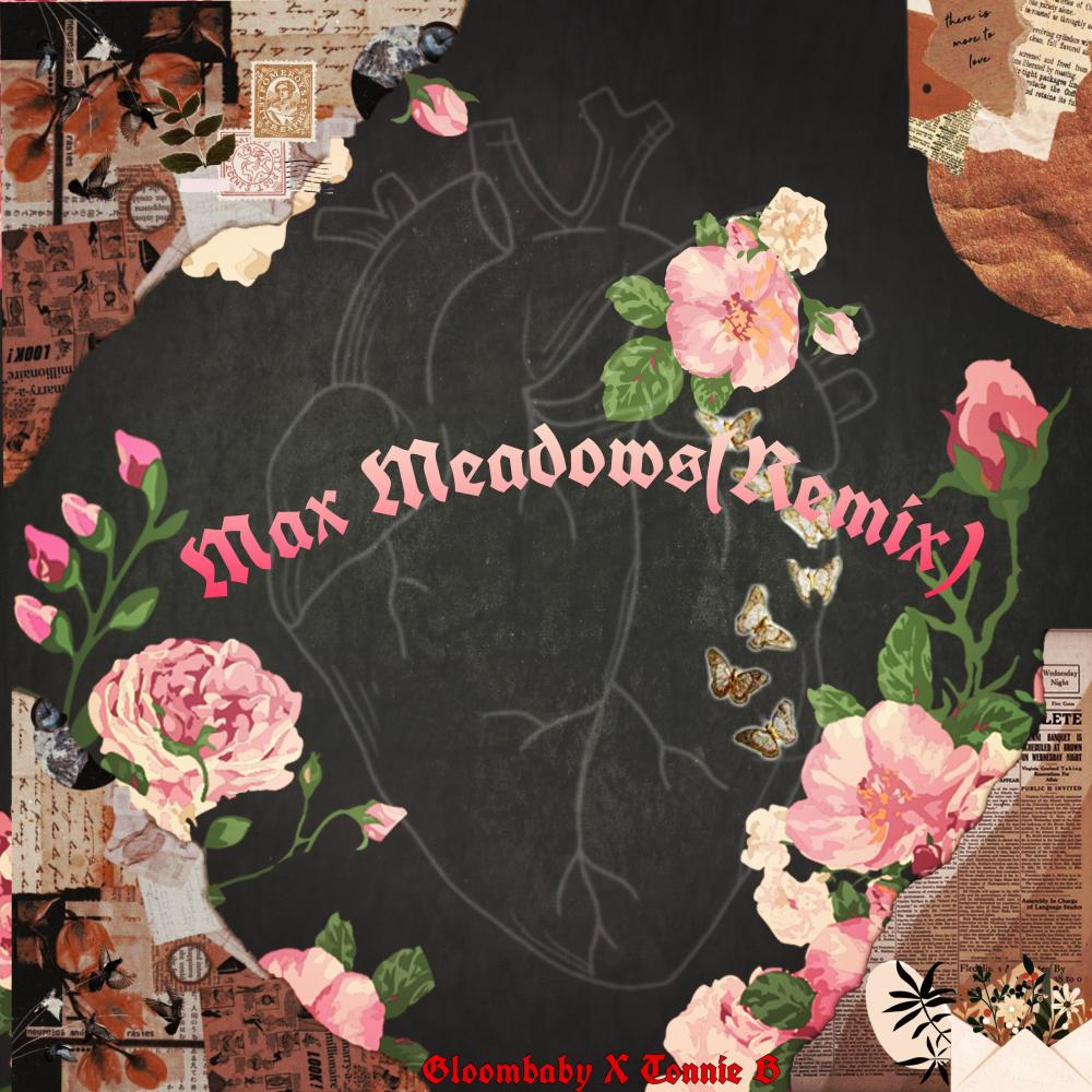 Max Medows (feat. Gloombaby) (Remix|Explicit)