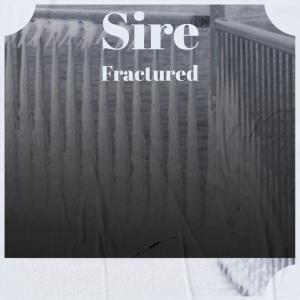 Listen to Angle song with lyrics from Jian Dior