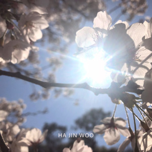 收聽하진우的Cherry Blossom歌詞歌曲