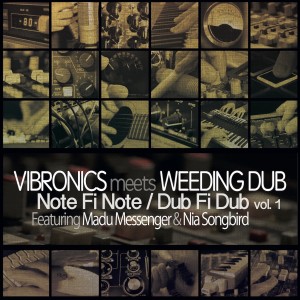 收聽Vibronics的Never Lie Down歌詞歌曲