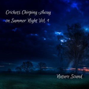 Nature Sounds: Crickets Chirping Away on Summer Night Vol. 1