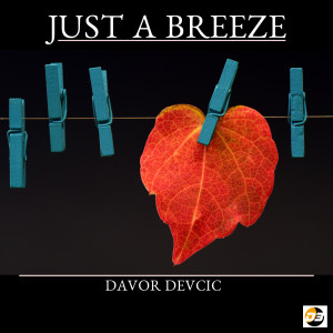 ดาวน์โหลดและฟังเพลง Just a Breeze พร้อมเนื้อเพลงจาก Davor Devcic
