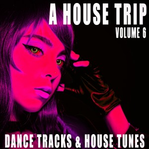 Various Artists的專輯A House Trip, Volume 6