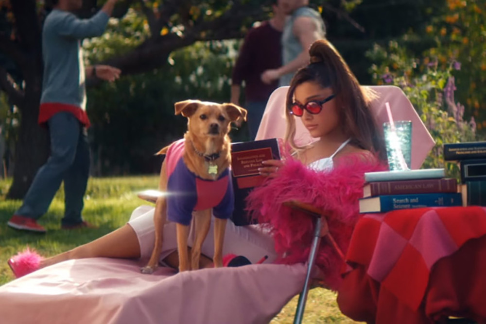 default column 1205x682 img