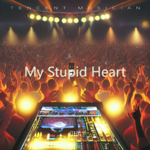 อัลบัม My Stupid Heart ศิลปิน DJHY