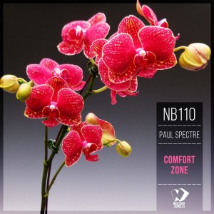 Album Comfort Zone from Paul Spectre