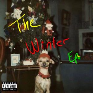 Listen to Ponche De Navidad song with lyrics from Los Jane Doe