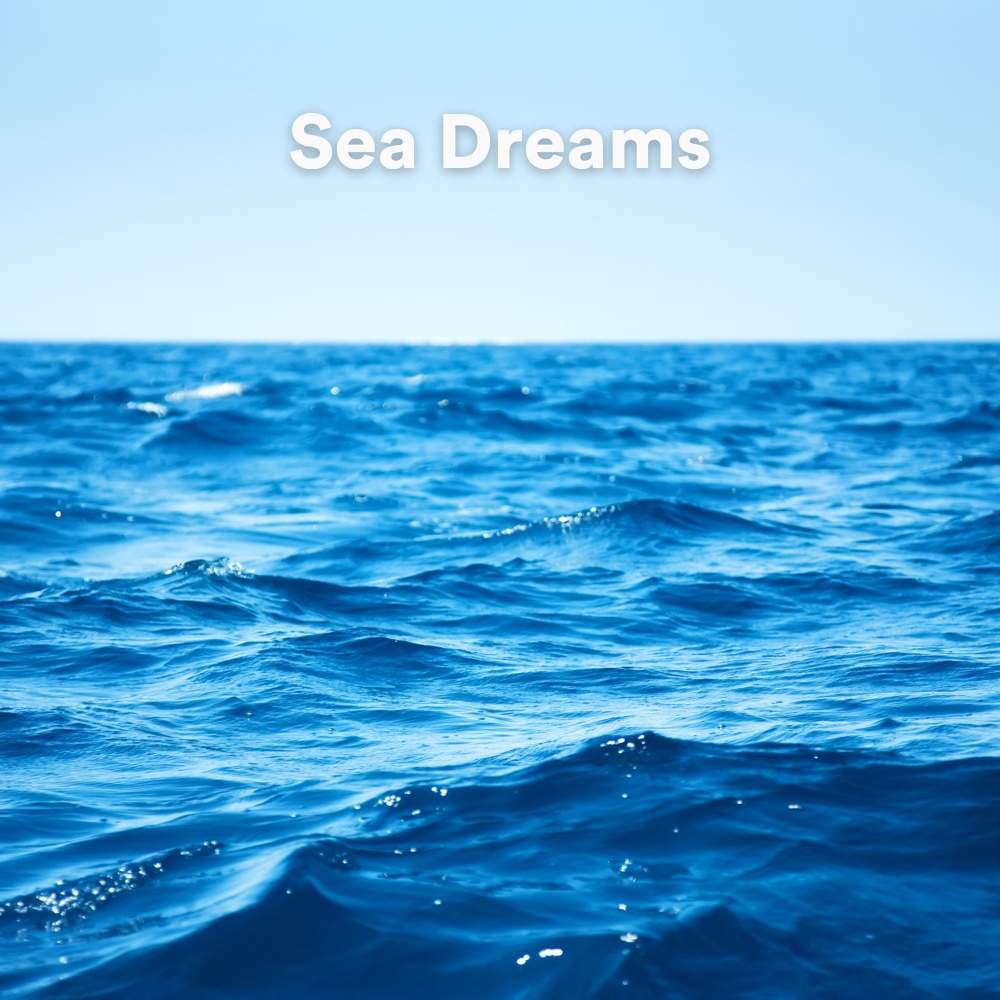 Dreams by the Sea, Pt. 17