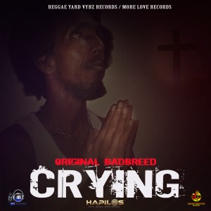 收聽Original Badbreed的Crying歌詞歌曲