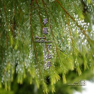 Album Shu Qing Zhong Guo Ji Lie 7: Meng Xing . Bu Zhi Nian from Various Artist