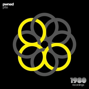 Listen to Pwned (Matt Weeks Remix) song with lyrics from Pte