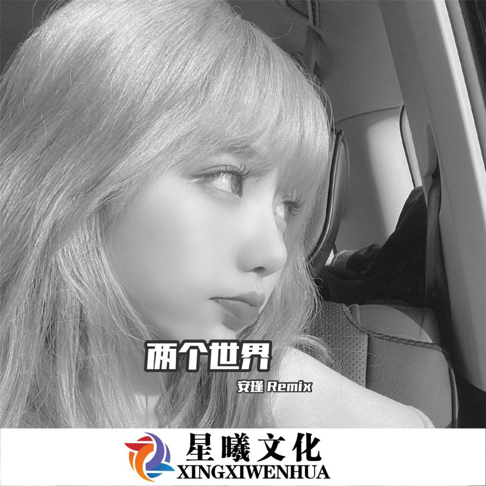 十面埋伏 (DJ版)