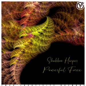 Shabboo Harper的專輯Powerful Force