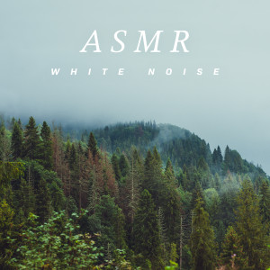 Listen to 催眠大自然鳥鳴 song with lyrics from 贵族音乐ASMR