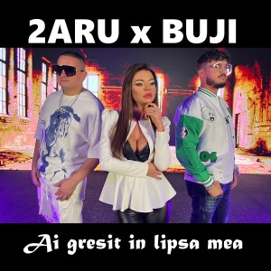 Listen to Ai gresit in lipsa mea song with lyrics from 2Aru