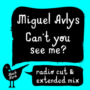 收聽Miguel Avlys的Can't You See Me (Radio Cut)歌詞歌曲
