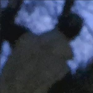 收聽myroon的Sorry (feat. Partycja)歌詞歌曲