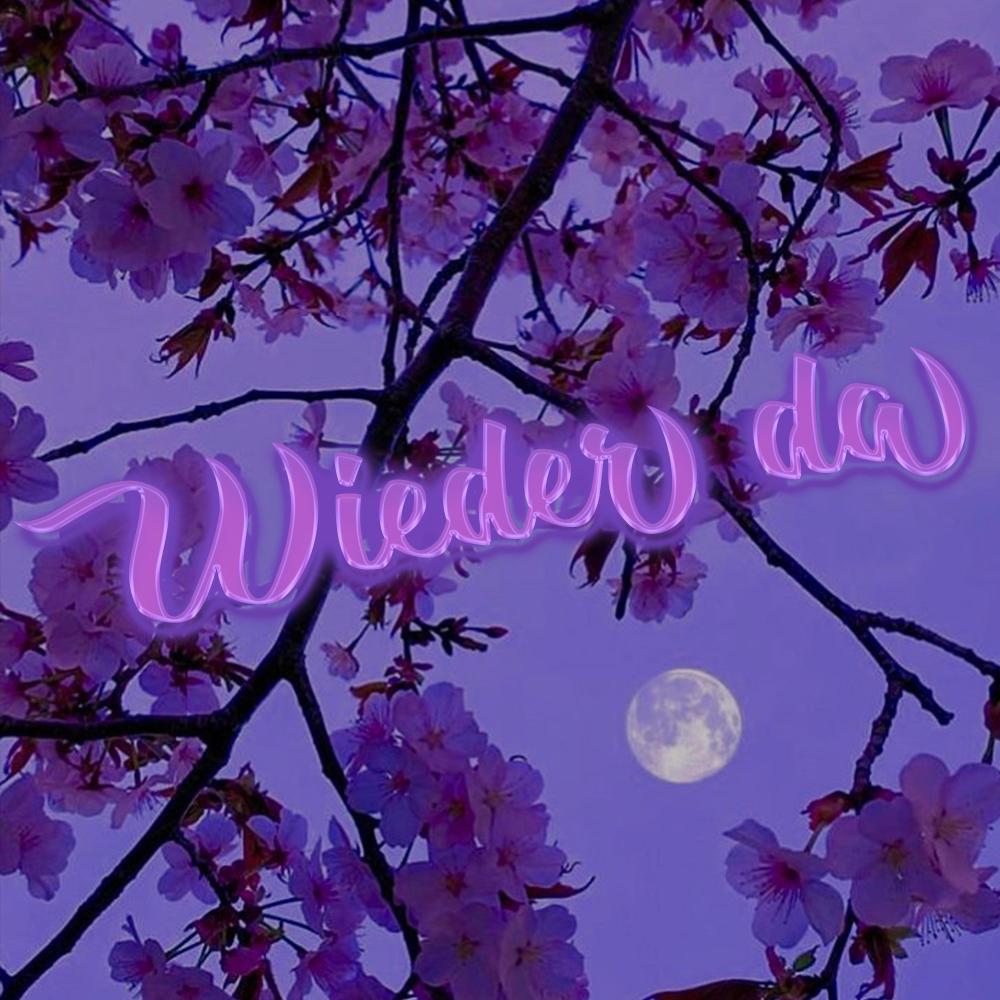 Wieder da