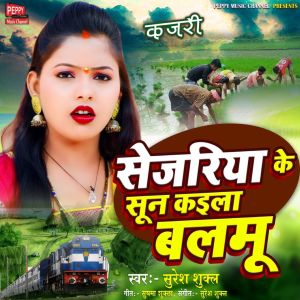 Listen to Sejariya ke Sun Kaila Balamu song with lyrics from Suresh Shukla