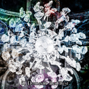 อัลบัม 61 Domestic Bed Rest ศิลปิน Sounds Of Nature