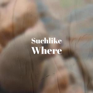 Listen to Negative Condone song with lyrics from Kimie Schr