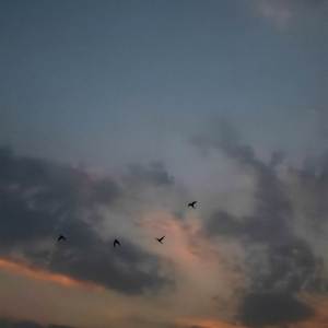 收聽everburning的elsewhere歌詞歌曲