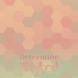 Album Determine Total oleh Various