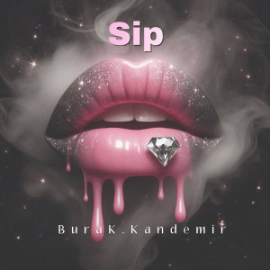 Burak.Kandemir的專輯Sip