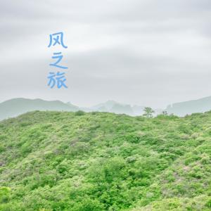 收聽藍的夠戧的今夜無眠歌詞歌曲