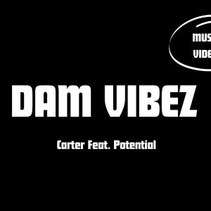 carter的專輯Dam Vibez (feat. Potential)