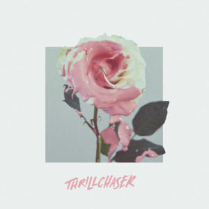 Listen to Wildflower song with lyrics from THRILLCHASER
