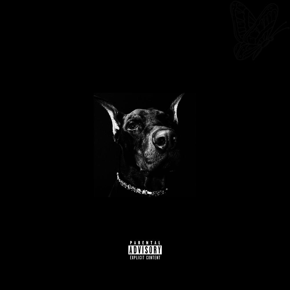 Ender (Explicit)