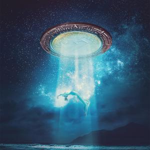 ดาวน์โหลดและฟังเพลง Fly พร้อมเนื้อเพลงจาก Kinky