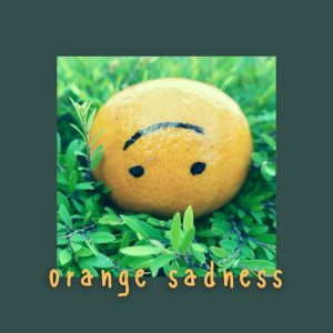 LIU KOI的專輯orange sadness