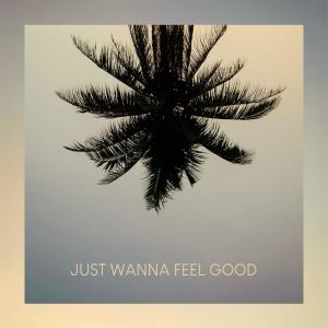 ดาวน์โหลดและฟังเพลง Just Wanna Feel Good (其他) พร้อมเนื้อเพลงจาก bd:j