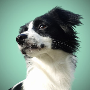 Dengarkan vr (Inst.) (Instrumental) lagu dari BADMINTON dengan lirik