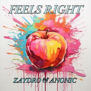 收听Zaydro的Feels Right (Extended Mix)歌词歌曲