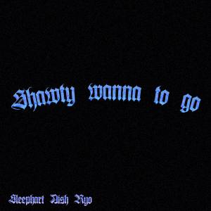 อัลบัม Shawty wanna to go ศิลปิน Aish