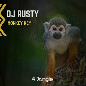 收听DJ Rusty的Monkey Key歌词歌曲